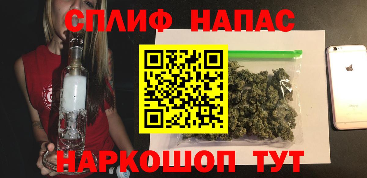 Каннабис сатива Губкин